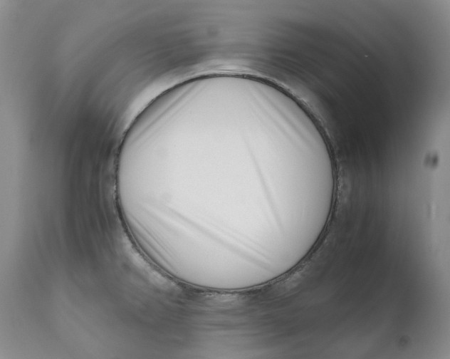 X0000110771382200907061109