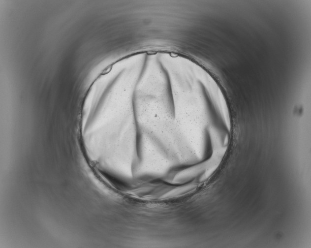 X0000110771383200907061109