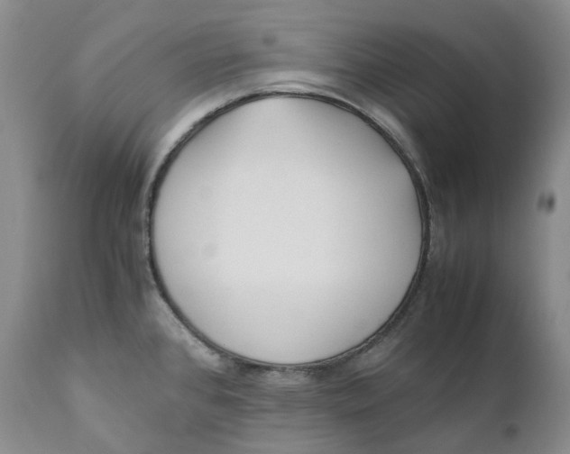 X0000110771384200907061109