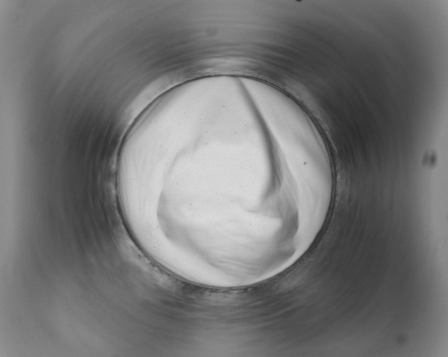 X0000110771386200907061109