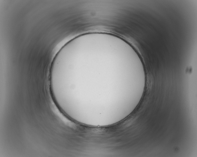 X0000110771387200907061109