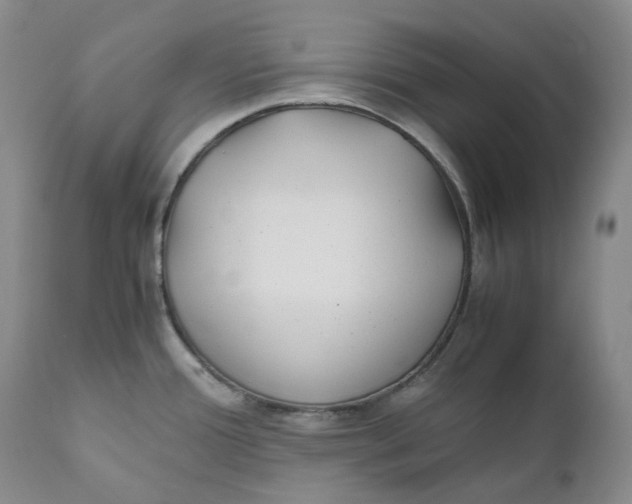 X0000110771388200907061109