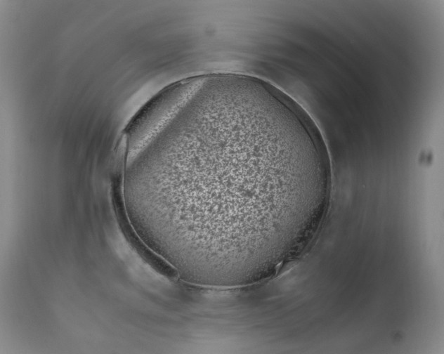 X0000110771389200907061109