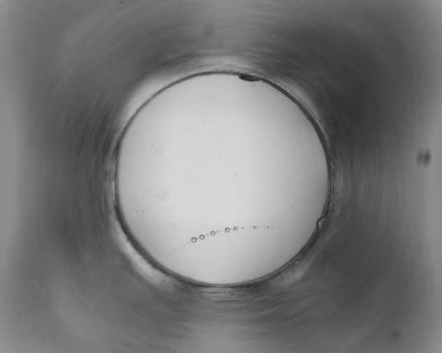 X0000110771391200907061109