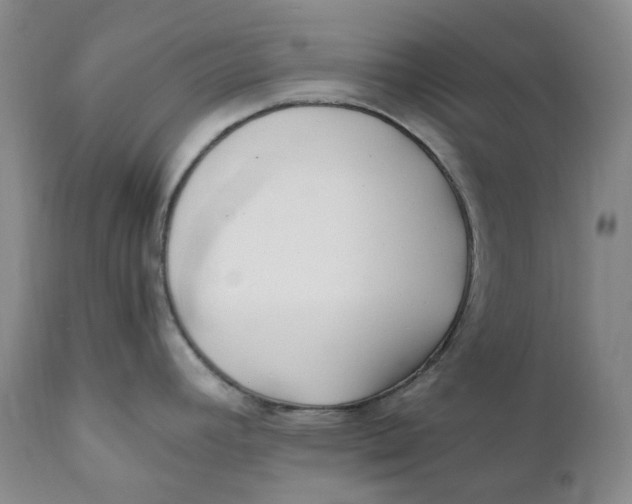 X0000110771392200907061109