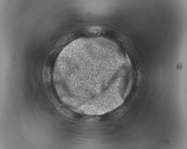 X0000110771394200907061108