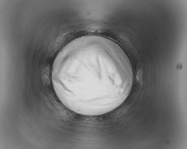 X0000110771396200907061108