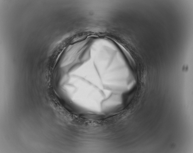 X0000110771398200907061108