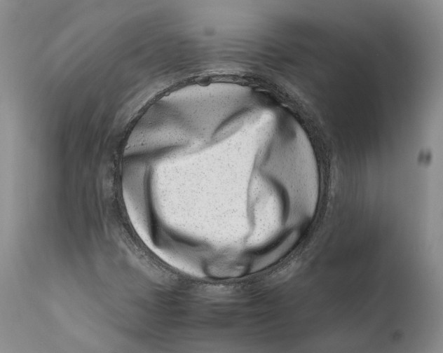 X0000110771401200907061108