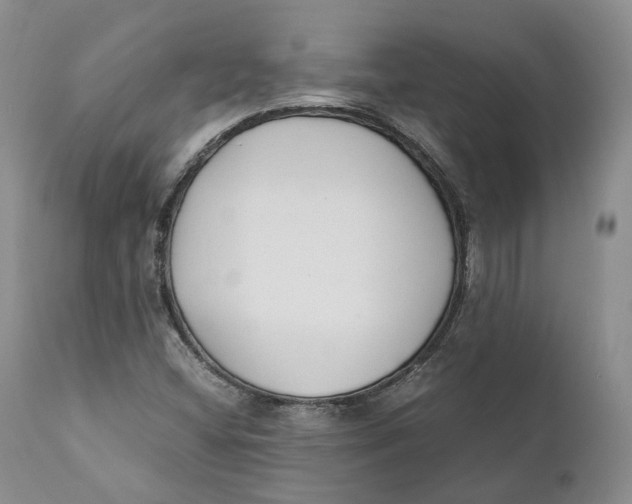 X0000110771404200907061108