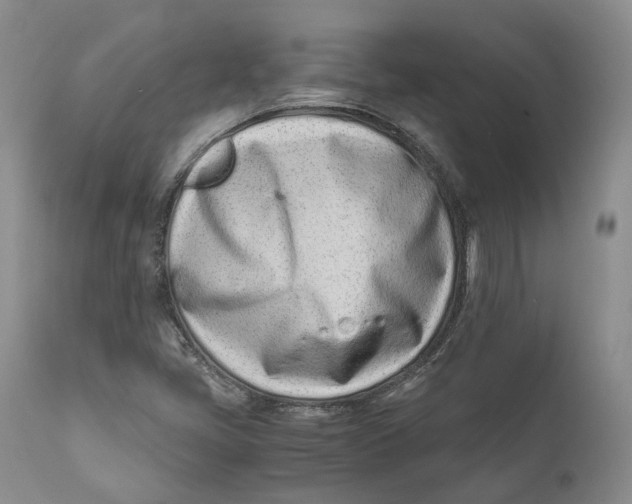 X0000110771405200907061108