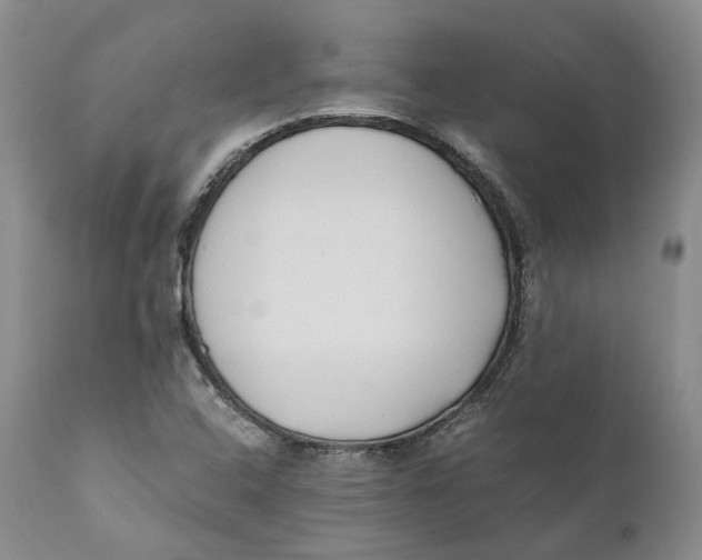 X0000110771408200907061108