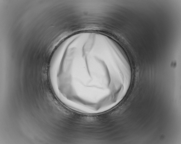 X0000110771409200907061108