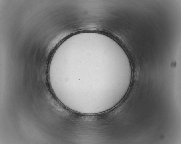 X0000110771410200907061108