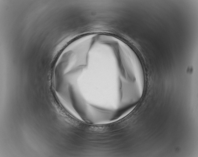 X0000110771415200907061108