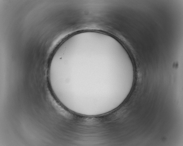 X0000110771416200907061108