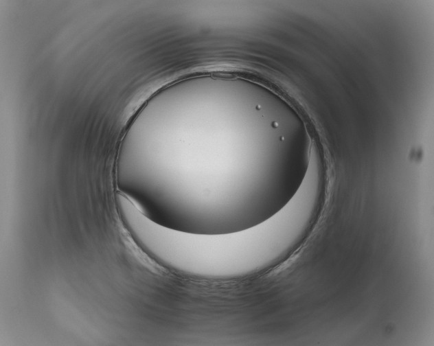 X0000110771417200907061108