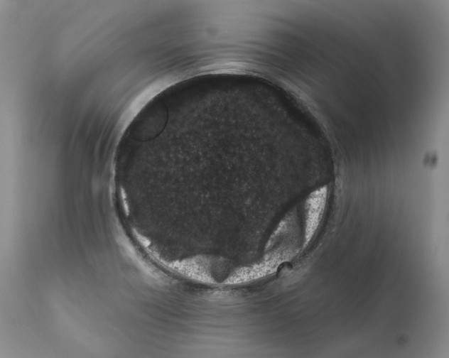 X0000110771418200907061108