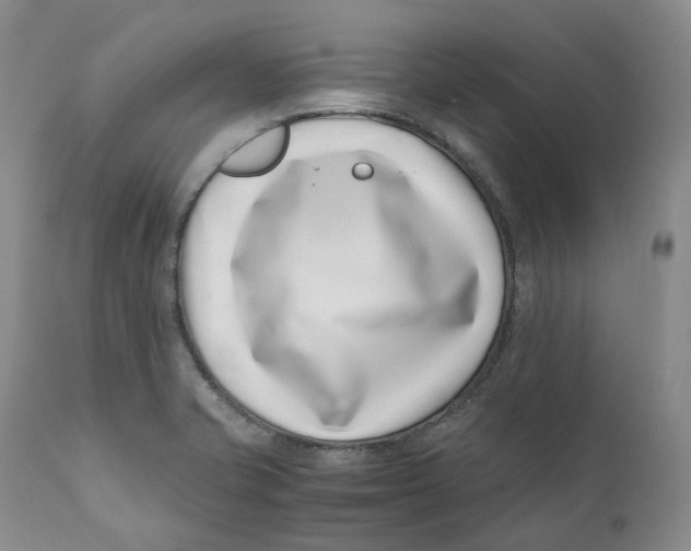 X0000110771421200907061109