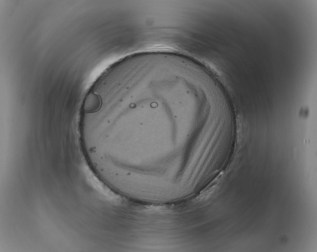 X0000110771422200907061109