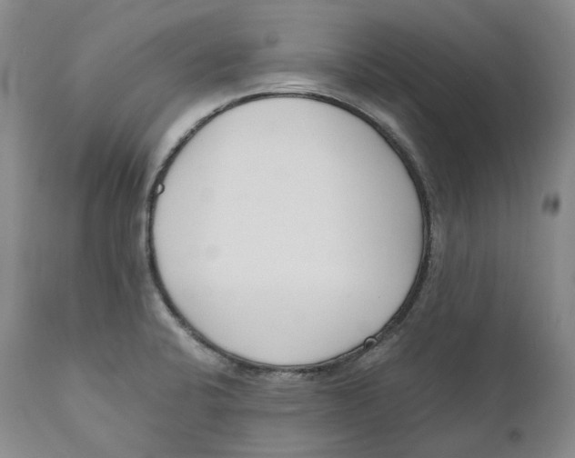 X0000110771424200907061109