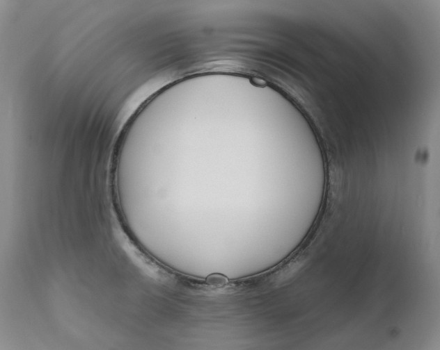 X0000110771426200907061109