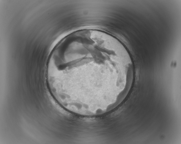 X0000110771428200907061109