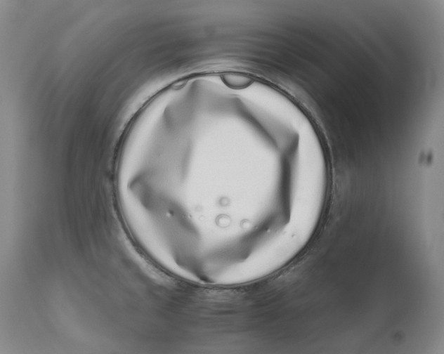 X0000110771429200907061109