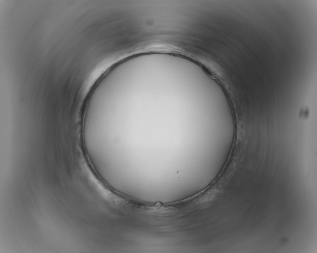 X0000110771430200907061109