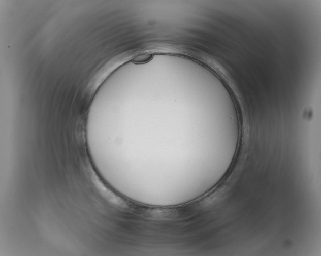 X0000110771433200907061109