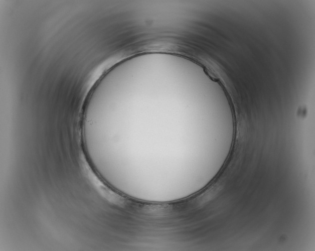 X0000110771434200907061109