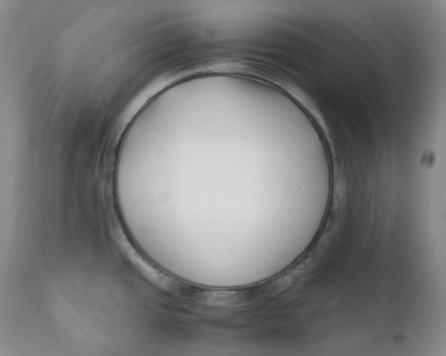 X0000110771437200907061109