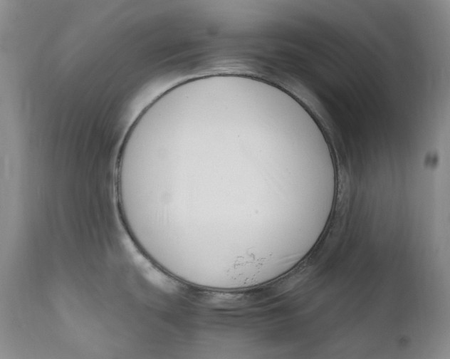 X0000110771439200907061109