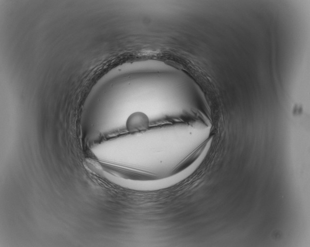 X0000110771441200907061108