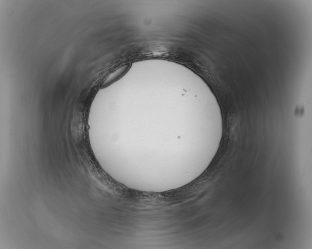 X0000110771442200907061108