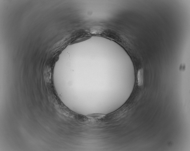 X0000110771443200907061108