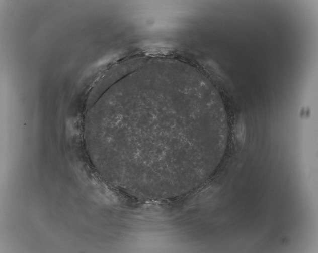 X0000110771445200907061108