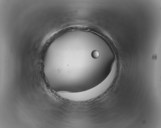 X0000110771448200907061108