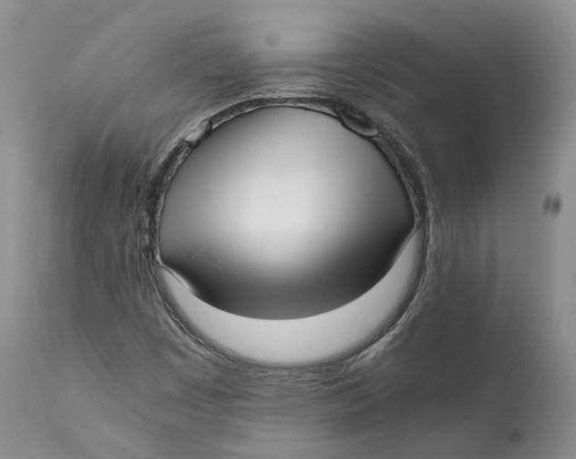 X0000110771449200907061108