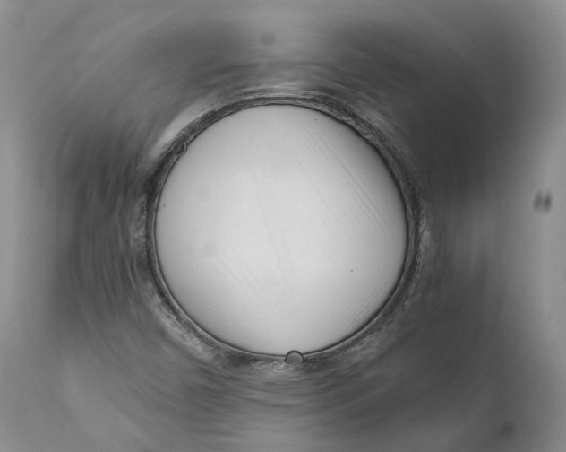 X0000110771450200907061108