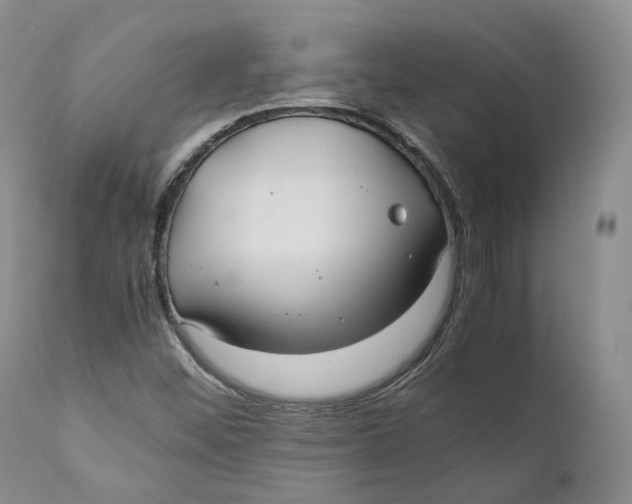 X0000110771452200907061108