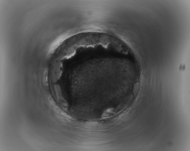 X0000110771455200907061108