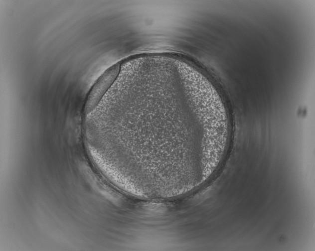 X0000110771457200907061108