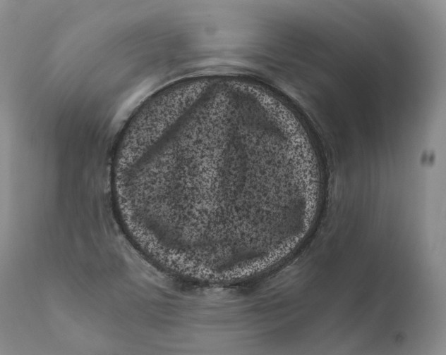 X0000110771459200907061108