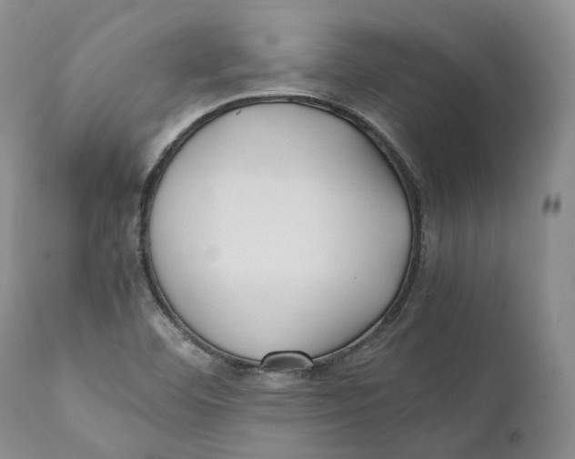 X0000110771460200907061108