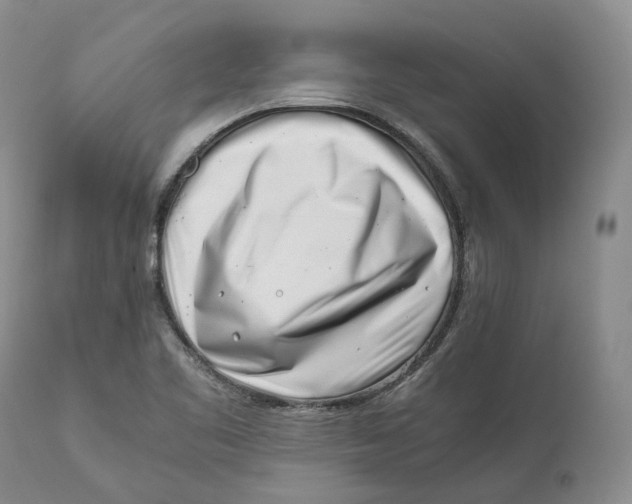 X0000110771461200907061108