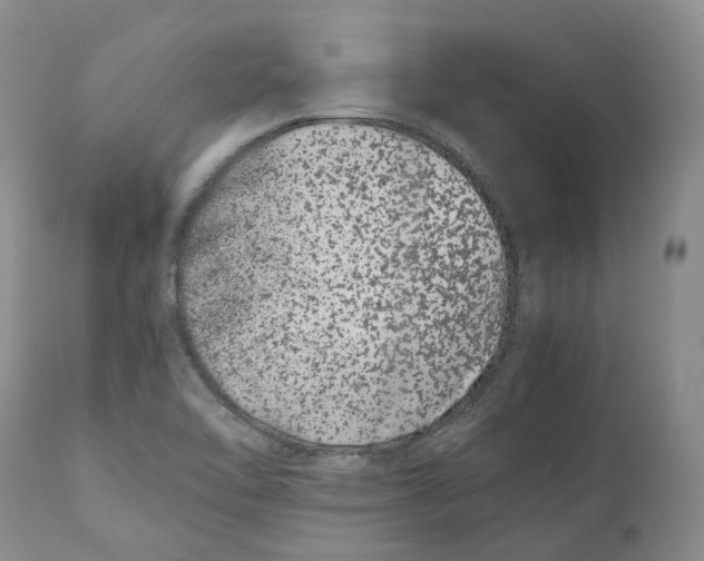 X0000110771462200907061108