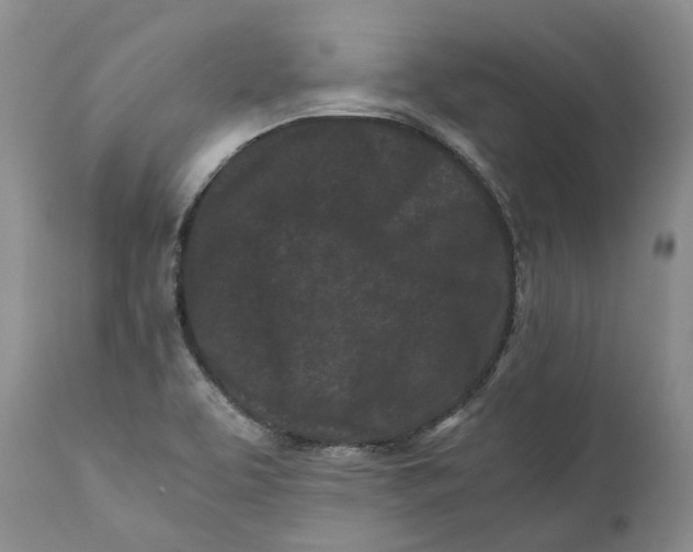 X0000110771463200907061108