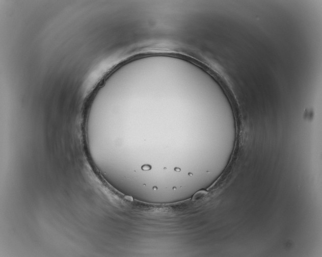 X0000110771464200907061108