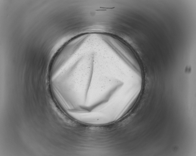 X0000110771469200907061108